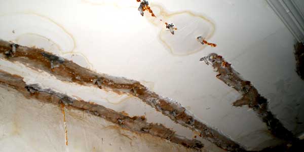 凤城地下室堵漏